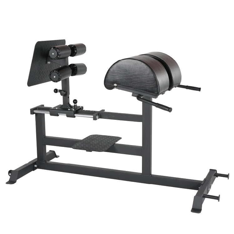 New design Professional Gym Use Glute Ham Raise Fitness Workout Equipment Glute Ham Developer